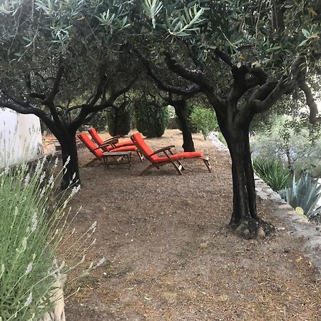 Le Clos En Provence Flayosc Quarto foto