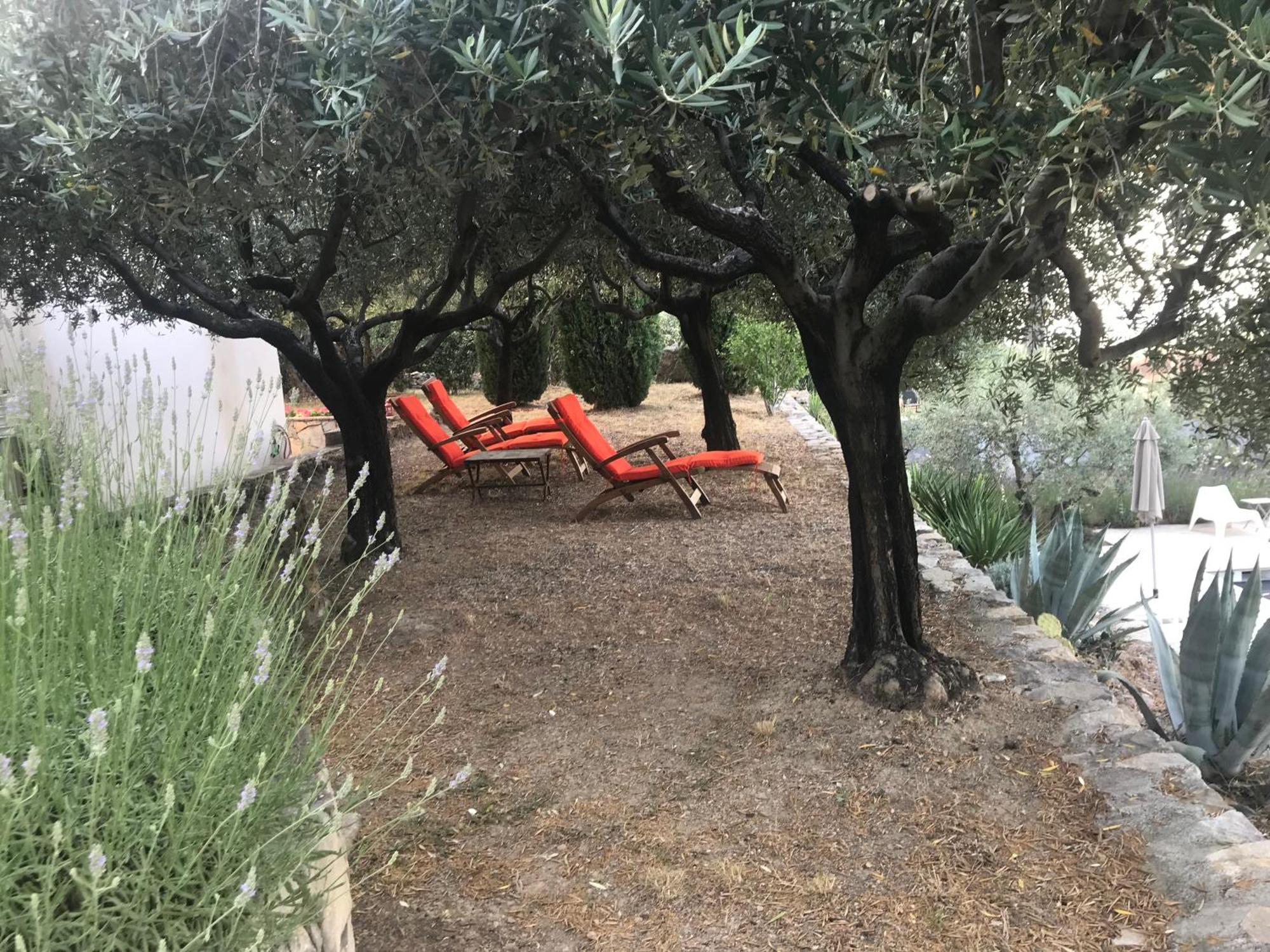 Le Clos En Provence Flayosc Quarto foto